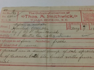One of the Smithwick family's egg slips, Field Museum. This one is for the eggs of a hooded warbler.