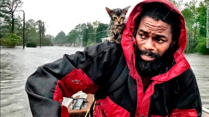 Robert Simmons Jr. and "Survivor," New Bern, Sept. 14, an already famous photograph by Andrew Carter at the Raleigh News & Observer