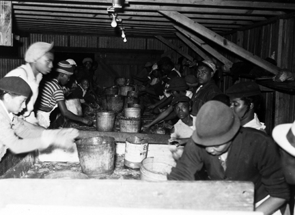 Shrimp house workers, Southport, N.C., 1938. Photo by Charles A. Farrell. Courtesy, State Archives of North Carolina