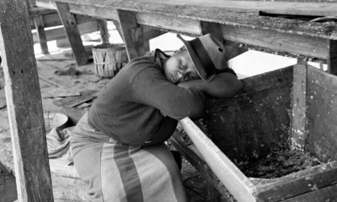Herring worker, probably at Terrapin Point near Merry Hill (Bertie County), N.C., ca. 1937-39. In between hauls, the women sometimes got a chance to take catnaps. Many fisheries ran day and night. Photo by Charles A. Farrell. Courtesy, State Archives of North Carolina 