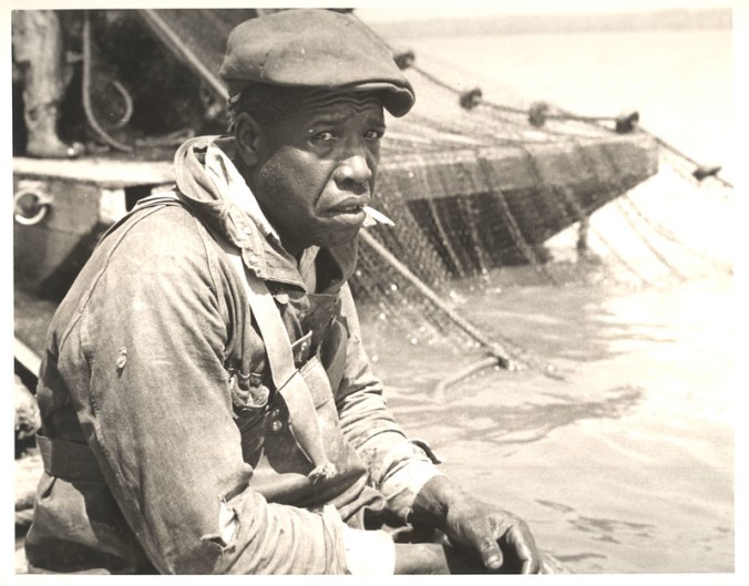 Unidentified fisherman at an unidentified fishery, probably on or near the Albemarle Sound, ca. 1937-39. Photo by Charles A. Farrell. Courtesy, State Archives of North Carolina