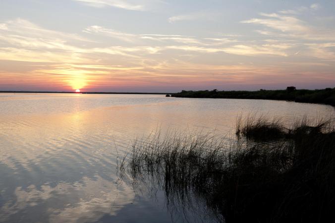 View of the National Audubon Society's Pine Island Sanctuary. The preserve includes a 2 & 1/2 mile-long nature trail that follows the old cart path that ran from Corolla to Duck. Photo by Mark Buckler. Courtesy, National Audubon Society