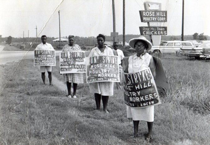 Poultry slaughterhouse workers on a picket line at the Rose Hill Poultry Corp., Rose Hill, N.C., 1968. Courtesy, J. Murrey Atkins Library Special Collections and University Archives, UNC Charlotte